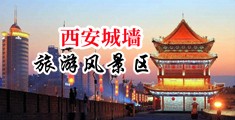 欧美大鸡八肏嫩模中国陕西-西安城墙旅游风景区